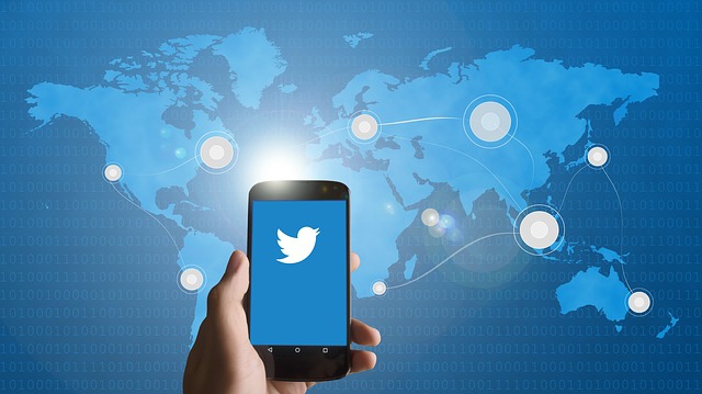 3 Strategie utili per aumentare i Follower di Twitter