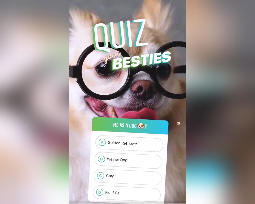 Novità Instagram: come funzionano i quiz nelle storie